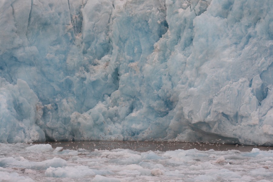 At the glacier front fresh water surfaces from the deep